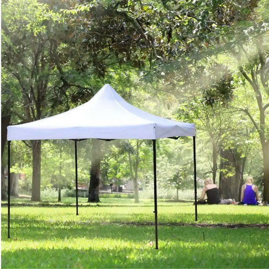 A77686bf242d04c14aa40060a93ffcd1231 A77686bf242d04c14aa40060a93ffcd1231