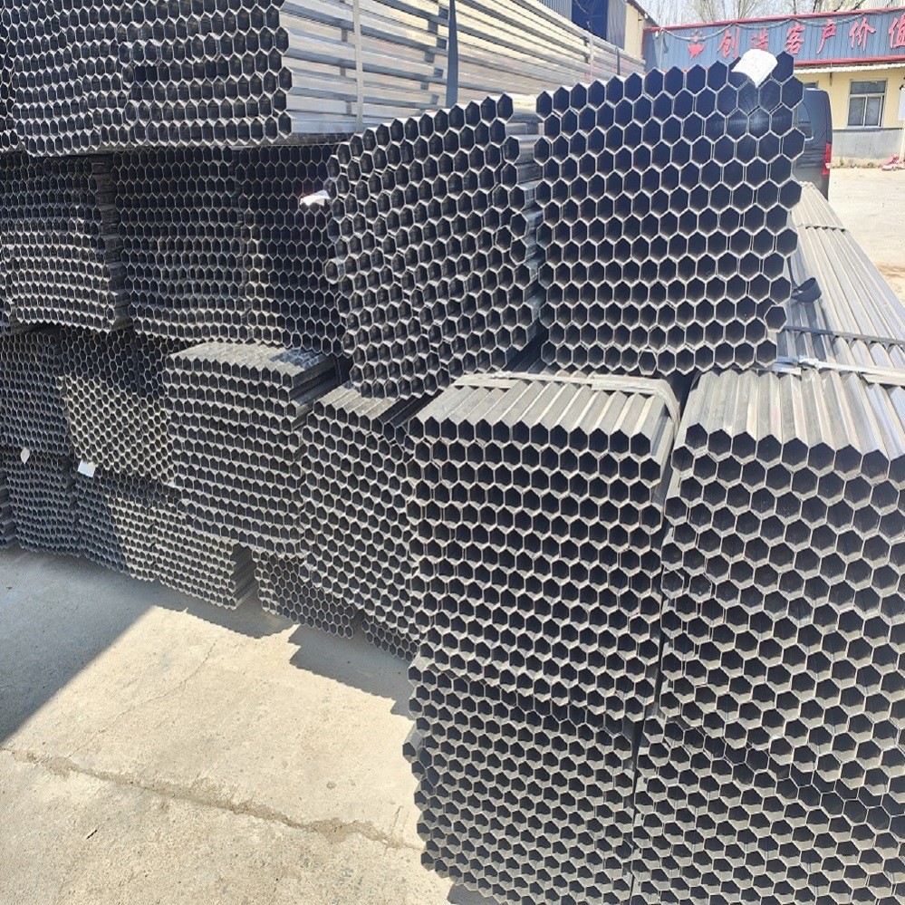 IMG20250401111712 IMG20250401111712